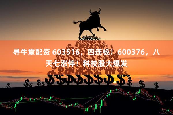寻牛堂配资 603516，四连板！600376，八天七涨停！科技股大爆发