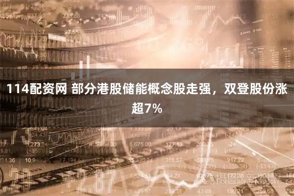 114配资网 部分港股储能概念股走强，双登股份涨超7%