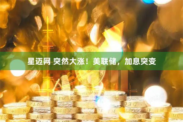 星迈网 突然大涨！美联储，加息突变